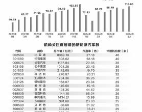 新能源汽车多项数据亮眼 龙头公司销量创历史新高