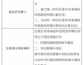 石家庄市栾城农村信用合作联社被罚140万元：因印章风险防控机制不健全 贷后管理不到位