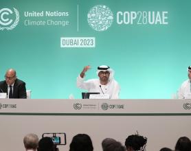 COP29气候大会临近，欧美金融高管参会热情降温