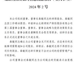 这家省属首家法人险企陷入“多重门”：成立12年仅6年盈利 股权质押、内控违规等问题待解…