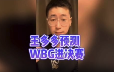 王多多预测WBG进决赛