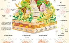 银发族消费观念趋于年轻化