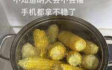 轻断食一天吃了十三根玉米 