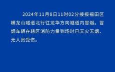 货车隧道内故障冒烟 无人受伤被困 交通逐步恢复