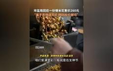 济南回应爆米花卖260元：市场调节价；明码标价无违规