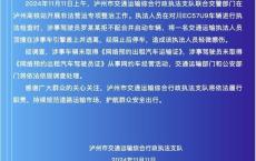 官方通报司机顶撞执法人员 无证经营网约车被查