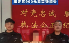 无业男子假装买白菜骗走摊主900元