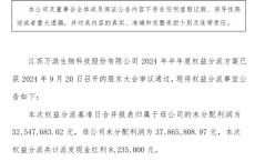 万淇股份2024年半年度权益分派每10股派现2.5元 共计派发现金红利823.5万