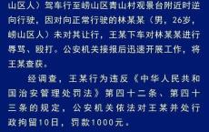 逆行打人女司机是普通村民 社区干部证实其身份