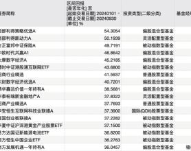 公募业绩“排位赛”，最牛是它