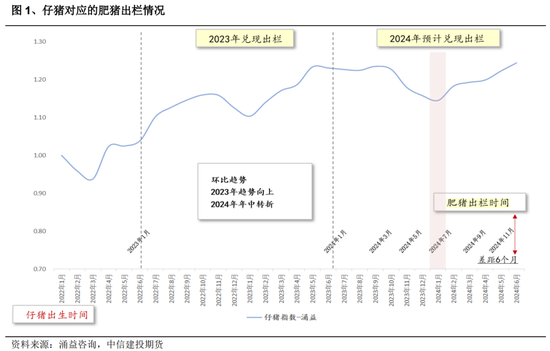 生猪：四季度展望，等待弱分歧下的新驱动